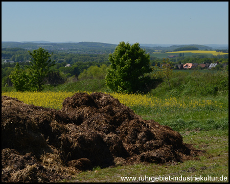 Blick ins Ruhrtal und die südlichen Häuser von Ardey