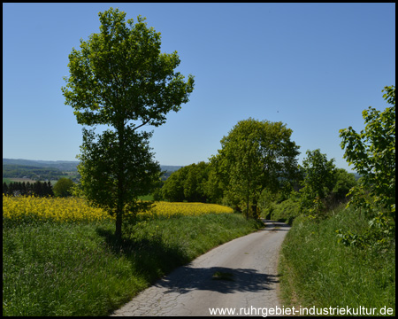 Der Weg führt bergab bis zur Ardeyer Straße (Vorsicht!)