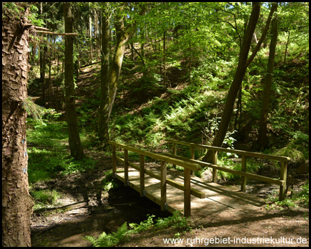 Brücke im Ostholzbachtal