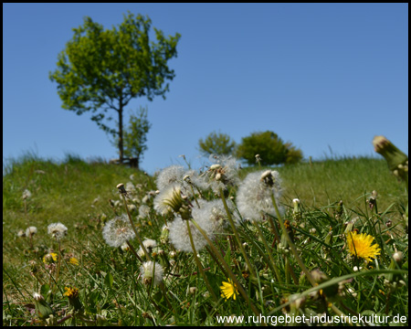 Letzter Anstieg nach Ardey