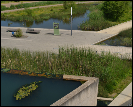 Wassergarten auf dem Gelände der ehemaligen Grube Reden in Landsweiler-Reden