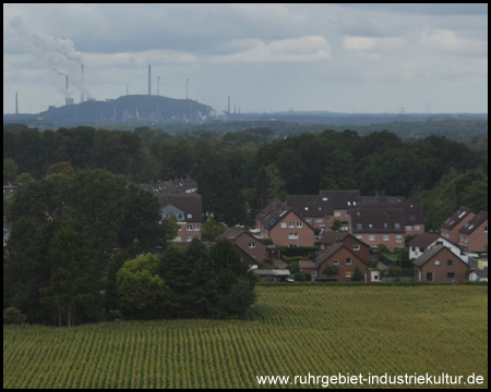 Im Hintergrund steht Halde Oberscholven