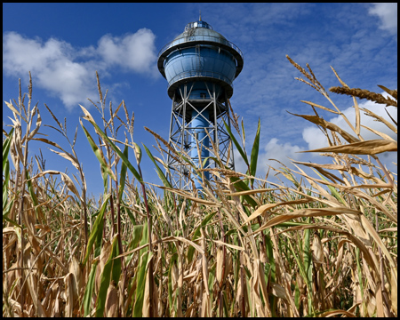 Blauer Wasserturm hinter Maisfeld