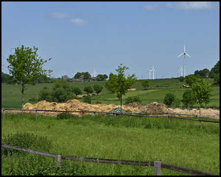 Weiden und Windräder