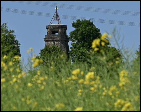 Bismarckturm Unna durch Rapsfelder gesehen