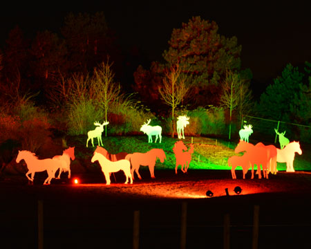 Farbenspiel beim Winterleuchten