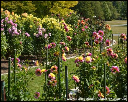 Westfalenpark Dortmund