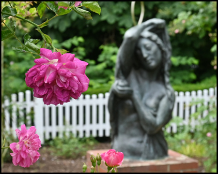 Rose und Skulptur