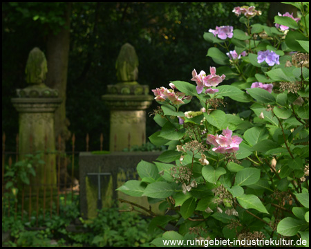 Westfriedhof Unna bei Tag