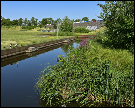 Teich im Westpark