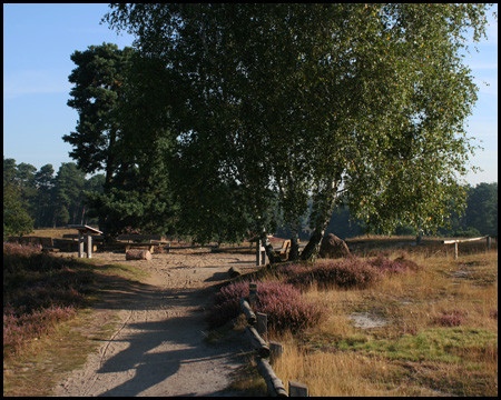 Größter Aussichtspunkt auf einer Düne über der Heide