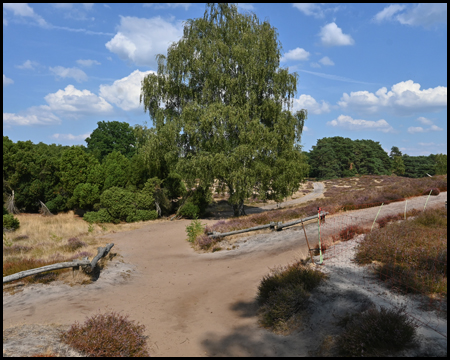 Wegekreuzung in der Westruper Heide