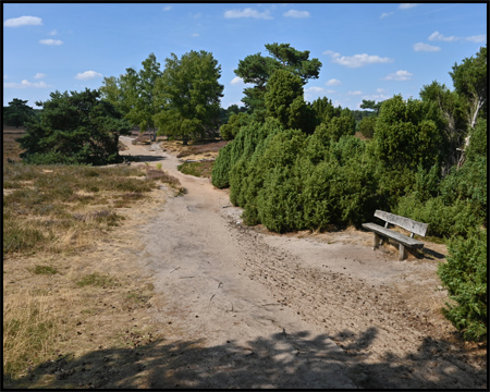 Sitzbank am Sandweg