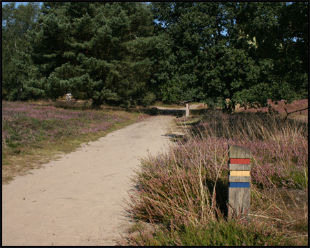 Farbmarkierungen bilden Themawege durch die Heide