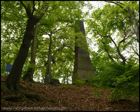 Der Kamin steht hoch auf dem Berg von Bäumen umgeben