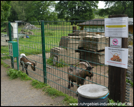 Wildgehege Wichteltal in Essen