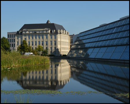 Teich am Wissenschaftspark Gelsenkirchen