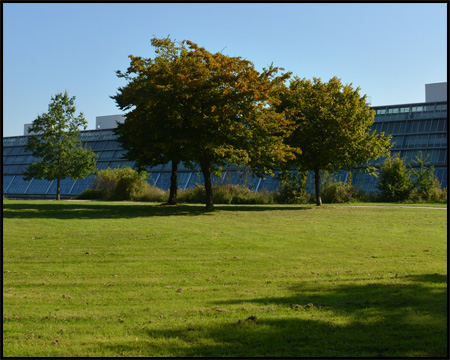 Wissenschaftspark Rheinelbe