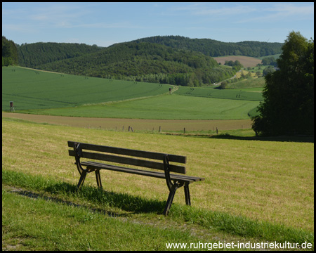 Wanderweg Luisenhütte Rundweg