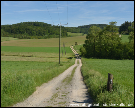 Wanderweg Luisenhütte Rundweg