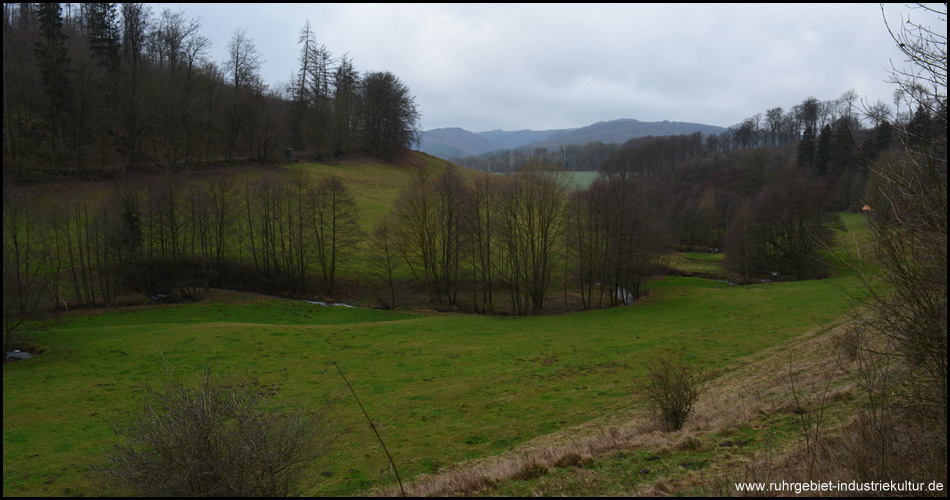 Die vielen Mäander geben dem Orlebachtal den typischen Charakter