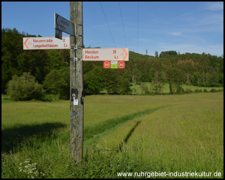 Wanderweg Luisenhütte Rundweg