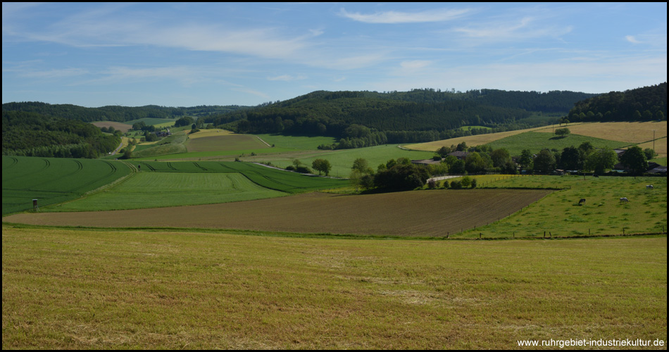 Blick über die sanften Täler bei Mellen