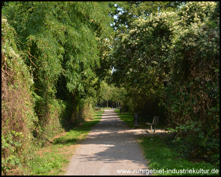 Bahntrassenradweg durch Marxloh