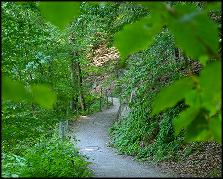Ein schmaler Weg schlängelt sich zwischen einer bemoosten Felswand und dichtem Grün hindurch.
