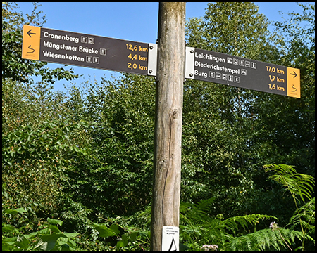 Ein Wegweiser mit mehreren Richtungsschildern zu verschiedenen Orten und Entfernungsangaben vor Wald-Hintergrund.