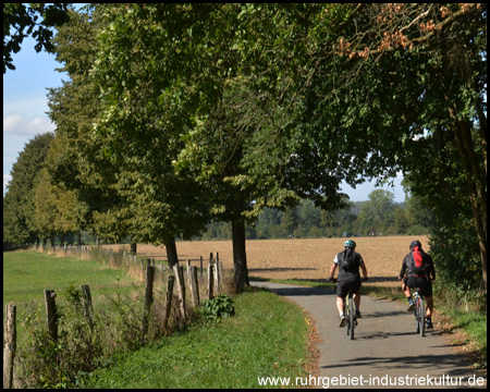 RuhrtalRadweg und Zabelroute vereint