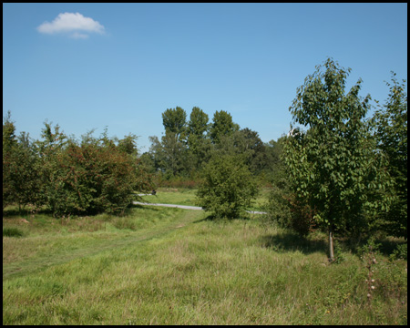 Landschaftspark