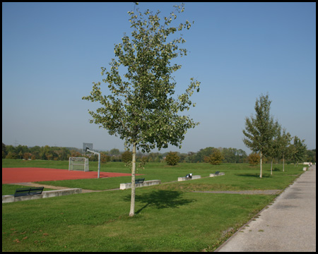 Fußball- und Basketballplatz und breite Wege zum Flanieren
