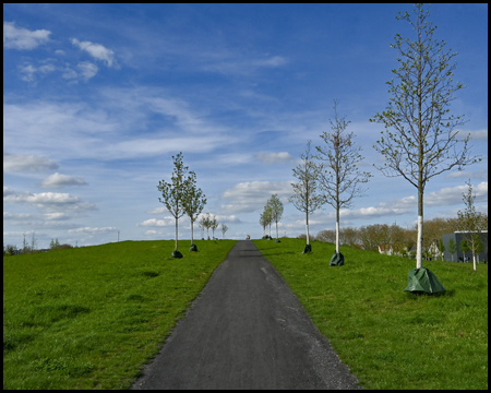 Weg im Zechenpark mit jungen Bäumen