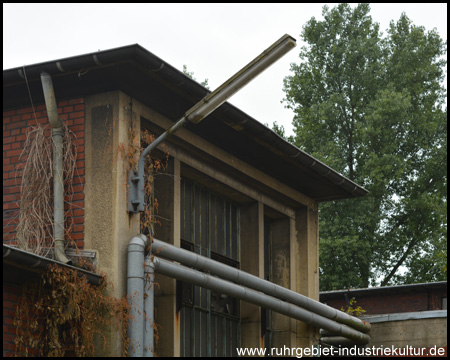 Pflanzen ranken die Gebäude hoch