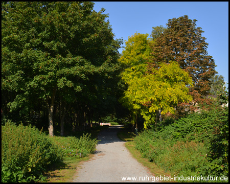 Der Radweg führt durch eine Grünanlage