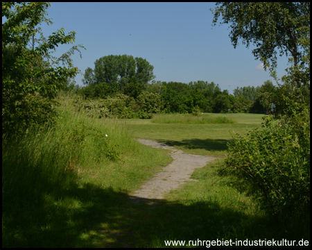 Wege über den Golfplatz