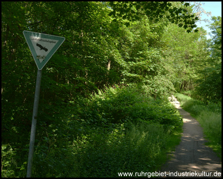 Halden an der Zeche Jacobi in Oberhausen