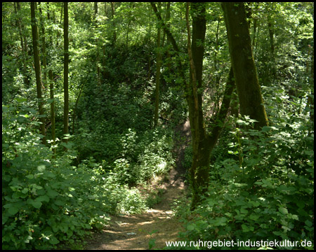 Halden an der Zeche Jacobi in Oberhausen