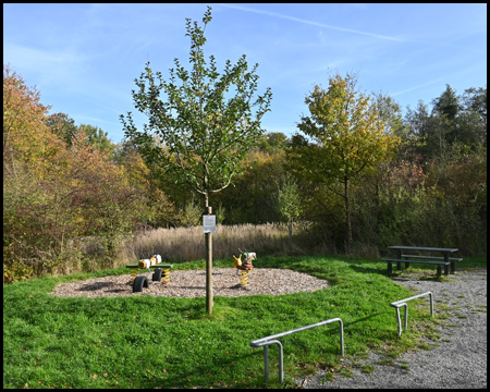 Spielgerät im Park