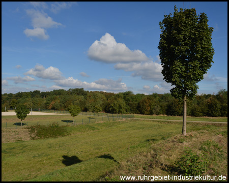 Blick zum benachbarten Beachvolleyballplatz