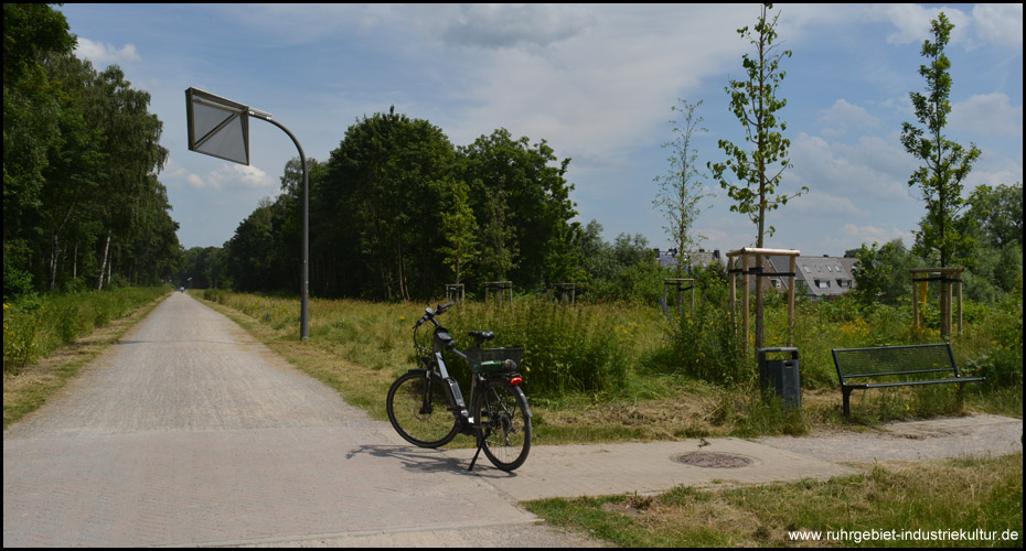 Schnurgerader Bahntrassenradweg und Kunstmeile in Recklinghausen