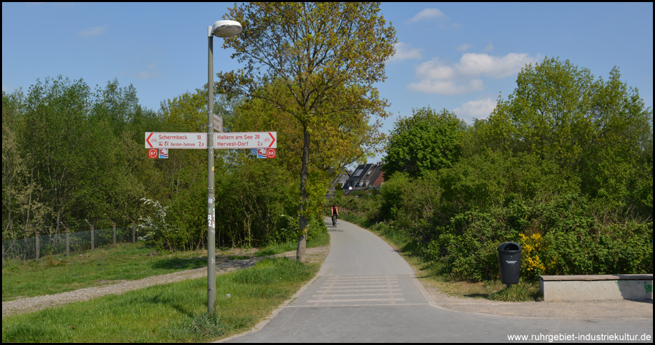 Hier trifft der Bahntrassenradweg von der Zeche Fürst Leopold auf die Römer-Lippe-Route.  Der ursprüngliche Streckenverlauf der Bahn ist rechts vom Weg im Gebüsch, der Weg etwas versetzt angelegt
