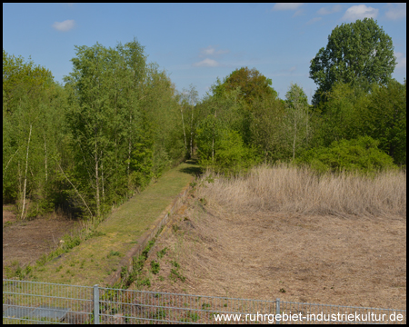 Heute leere Klärbecken, von der Natur zurückerobert