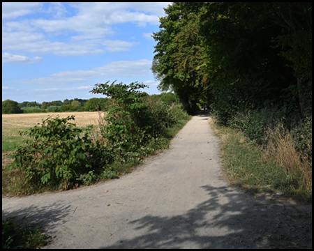 Bahntrassenradweg in Dortmund