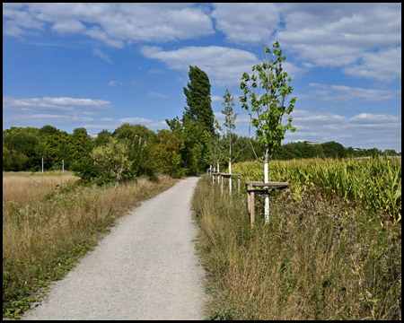 Bahntrassenradweg in Dortmund