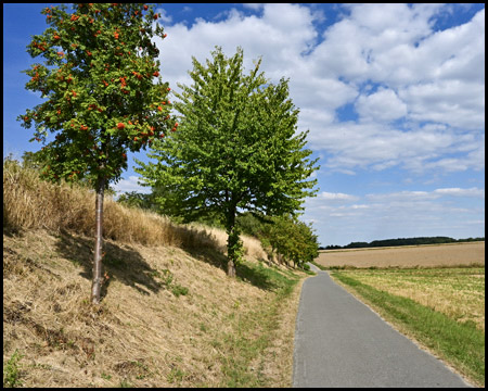 Radweg neben Bahntrasse