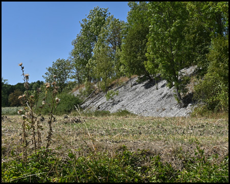 Halde der Zeche Westfalen 4