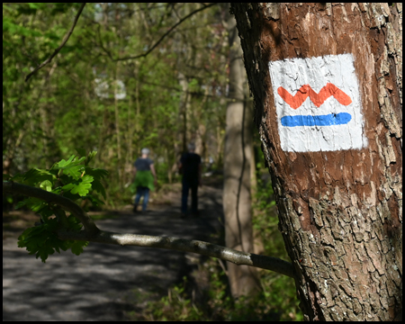 Wanderpiktogramm am Baum