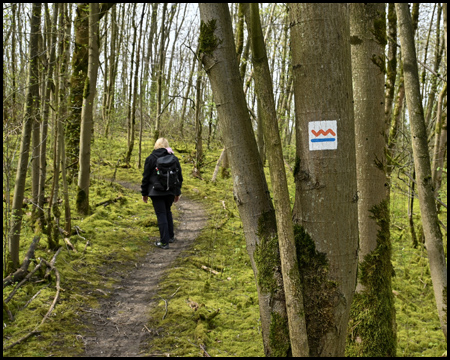 Wanderin auf Wegpfad mit Wanderpiktogramm Zollvereinsteig